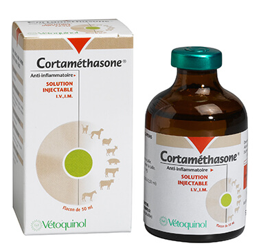 BUY CORTAMETHASONE (VETOQUINOL) – 50ML ONLINE