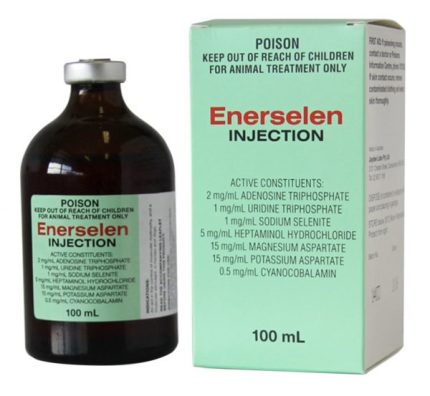 BUY ENERSELEN INJECTION 100ML ONLINE