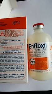 BUY ENFLOXIL ONLINE