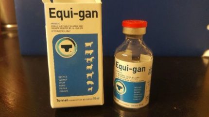 BUY EQUI-GAN ONLINE