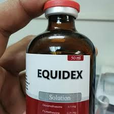 BUY EQUIDEX ONLINE