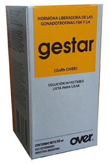 BUY GESTAR X 50ML ONLINE