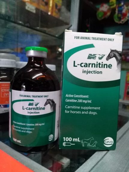 BUY L-CARNITINE ONLINE