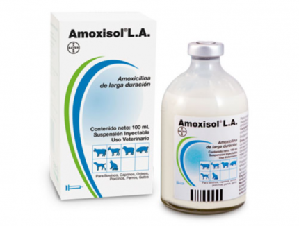 Buy AMOXISOL® LA Online