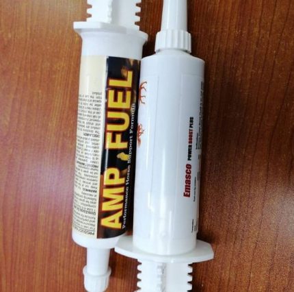 Buy AMP FUEL PASTE Online