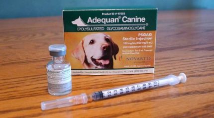 Buy Adequan Canine 2 x 5ml Online