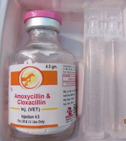 Buy Amoxicillin Injection Online