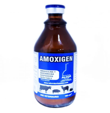 Buy Amoxigen Online