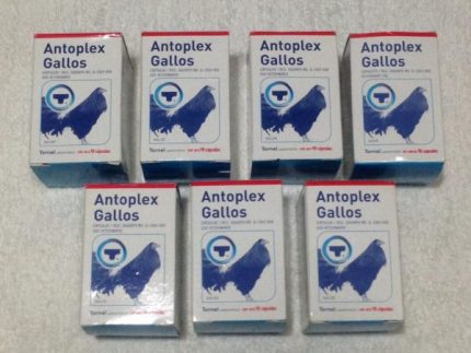 Buy Antoplex Gallos Online