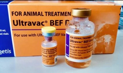 Buy BOVINE EPHEMERAL FEVER VACCINE Online