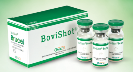 Buy BoviShot® Brucel Online