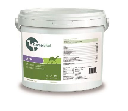 Buy CAMELVITAL ATP Online