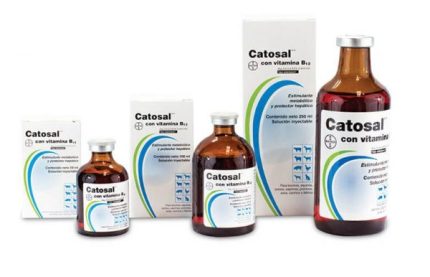 Buy CATOSAL Online