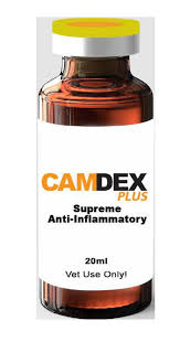 Buy Camdex Plus Online