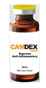 Buy Camdex plus Online