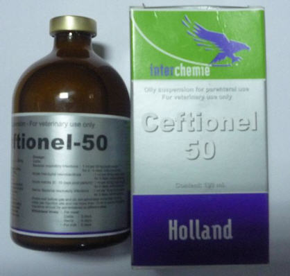 Buy Ceftionel 50 Online
