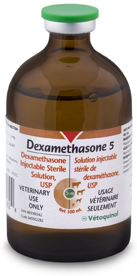 Buy Dexamethasone Online