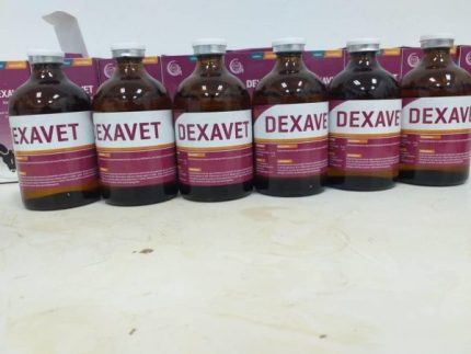 Buy Dexavet Online