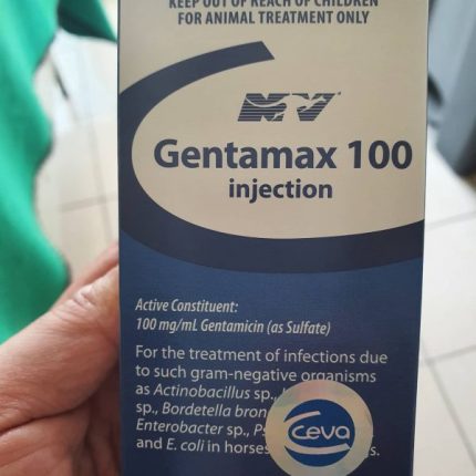 Buy Gentamax Online