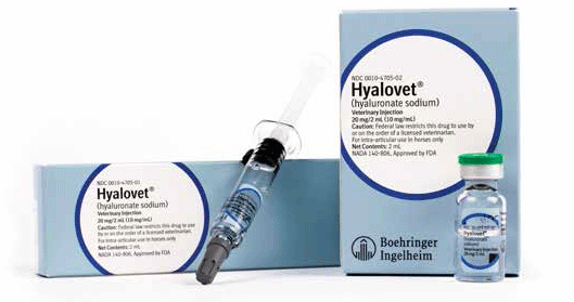 Hyalovet - Equicure Pharm