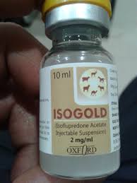 Buy Isogold injectable Online