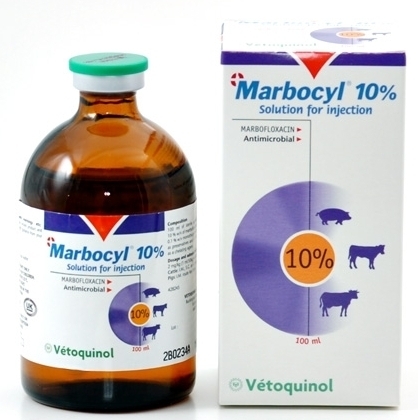 Buy Marbocyl 10% 100ml Online