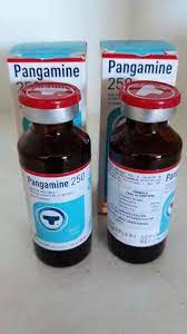 Buy Pangamine Online