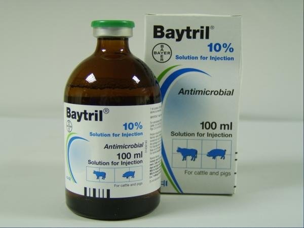 BAYTRIL® 10% - Equicure Pharm