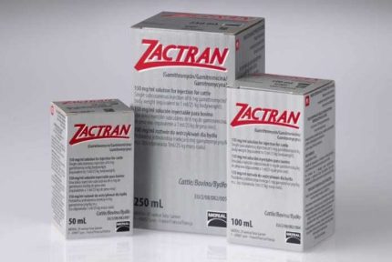 BUY ZACTRAN 150MG ONLINE