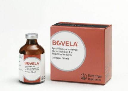 Buy Bovela Online