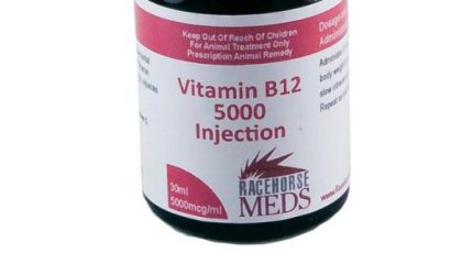 Buy Vitamin B12 5000 Online